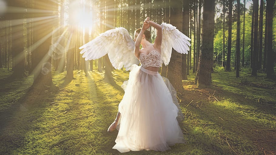 forest, angel, sunbeams, nature, woods, tree, wings, woman, girl, white