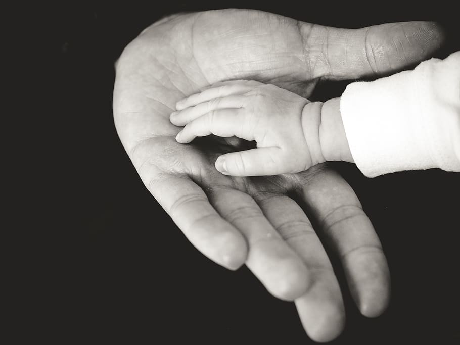 hands, baby, child, adult, childhood, family, human, holding, tiny, protection