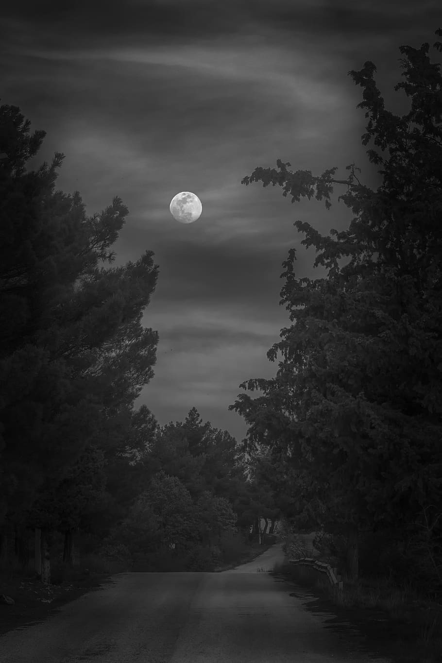 moon, bw, atmosphere, mystical, clouds, mood, fantasy, fields, tree, surreal