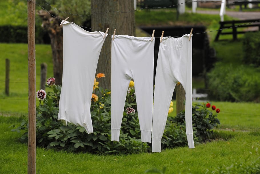 grass, summer, outdoors, nature, clothesline, laundry, outside, drying, clothes, clothing