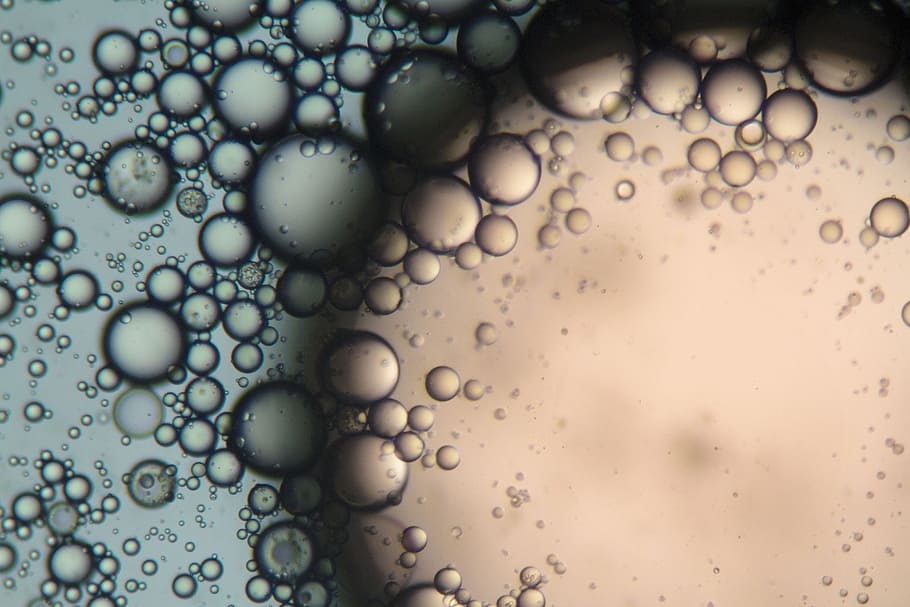 mixture, soap, oil, viewed, microscope., microscope, water, chemistry, grease, micelle