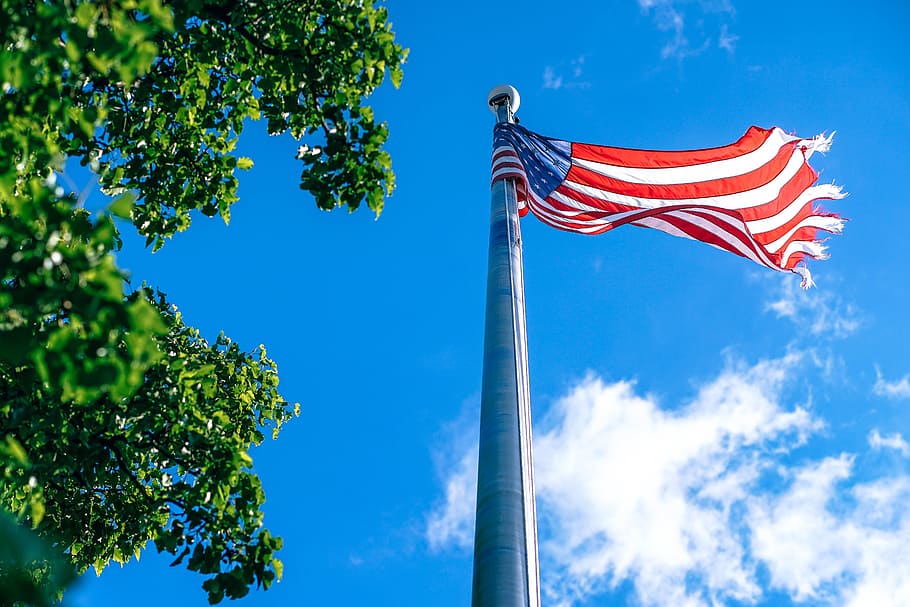 bandera americana ondulada, azul, patriotismo, naturaleza, medio ambiente, cielo, vista de ángulo bajo, bandera, árbol, agitando