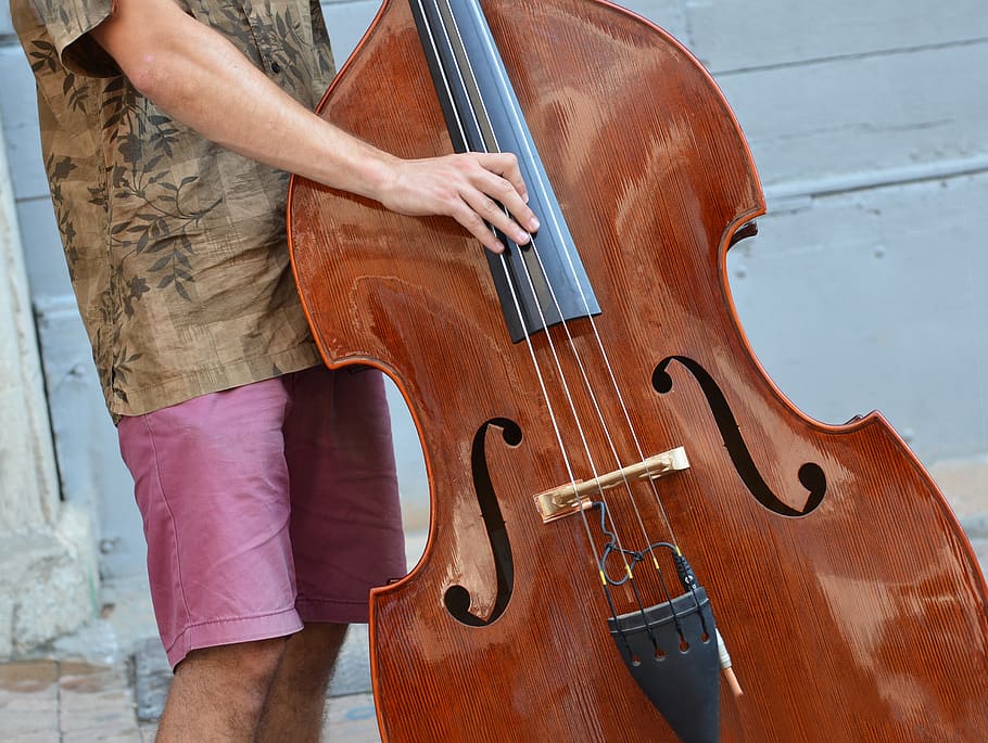 musician, double bass, instrument, music, strings, musical instrument, one person, real people, midsection, wood - material