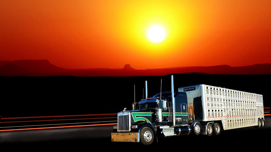 matahari terbenam, truk amerika, istirahat, lalu lintas, kendaraan, transportasi, trailer, senja, warna, parkir