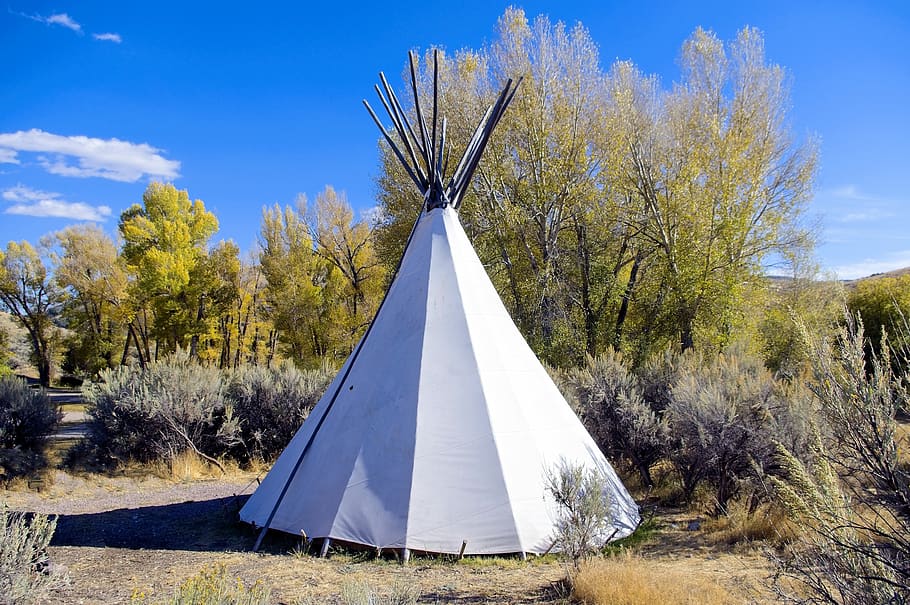 camping tipi at bannack, campground, tent, tipi, shelter, camping, tepee, wigwam, american, camp
