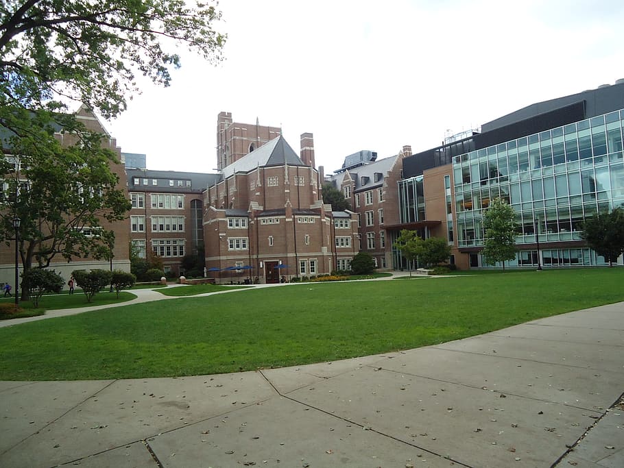 faculdade, Boston, árvores, campus, quad, tijolo, grama, gramado, passagem, exterior do edifício