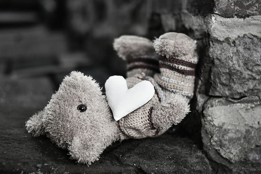 teddy bear, teddy, soft toy, stuffed animal, bear, toys, furry teddy bear, bears, heart, mourning