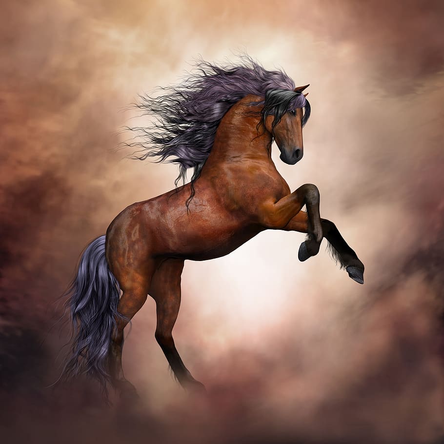 caballo, caballo salvaje, fantasía, componer, animal, salvaje, temas de animales, representación animal, representación, nube - cielo