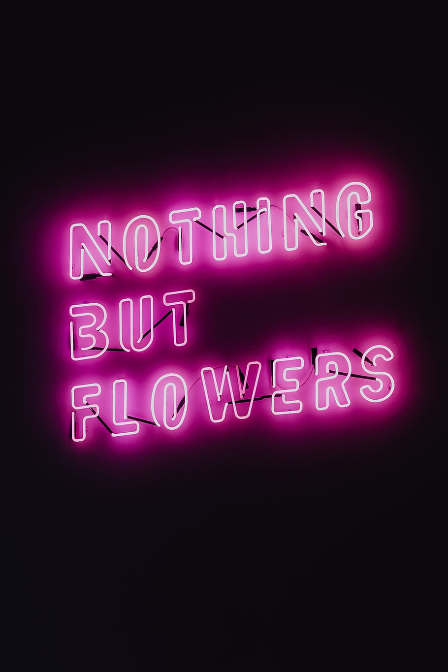 nada, flores, brilhando, néon, citação, luz, rosa, FDF, brilho, festival de design de lodz