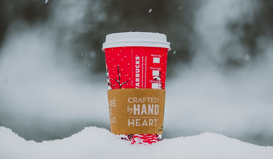 starbucks, coffee, warm, winter, snow, nature, outdoors, Christmas, cold, bright