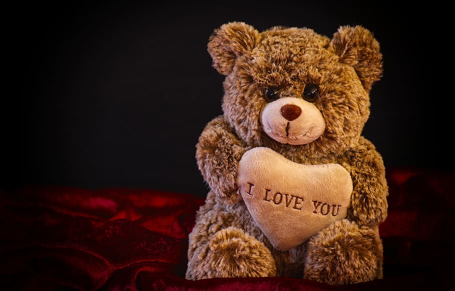 peluche, amor, lindo, oso de peluche, día de san valentín, osos, gracioso, corazón, juguete, texto