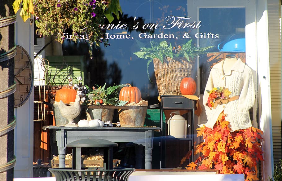 window, retail, fall, autumn, color, pumpkins, antiques, store, plant, food and drink