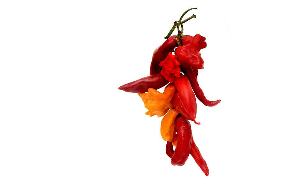 hot chili pepper, nature, color, flora, bright, closeup, isolate, white, food, close