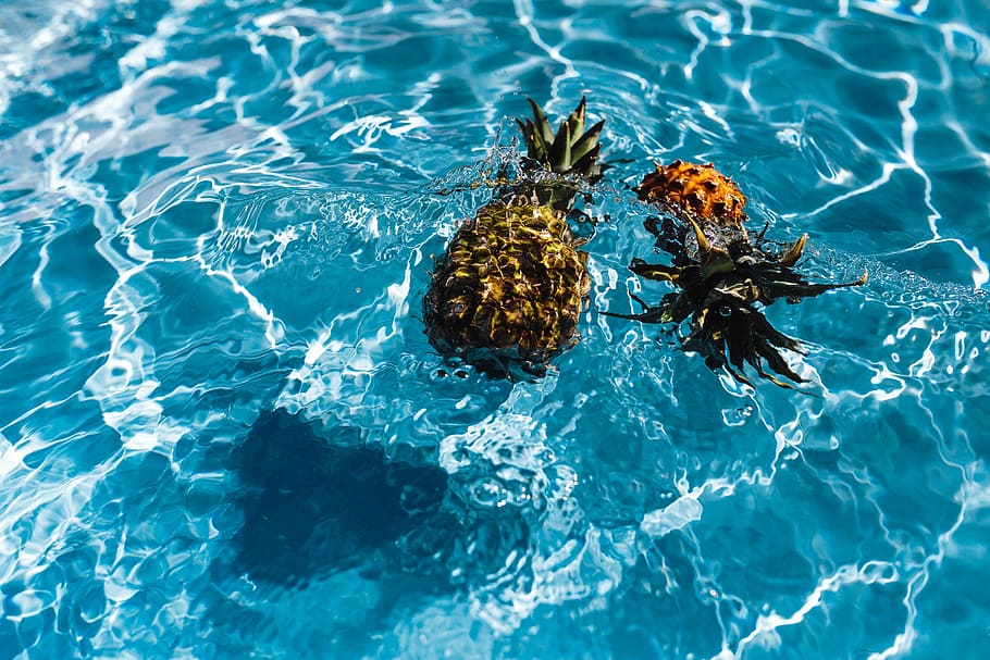 pineapple, swimming, pool, day, summer, water, copyspace, fruits, vacations, outdoor