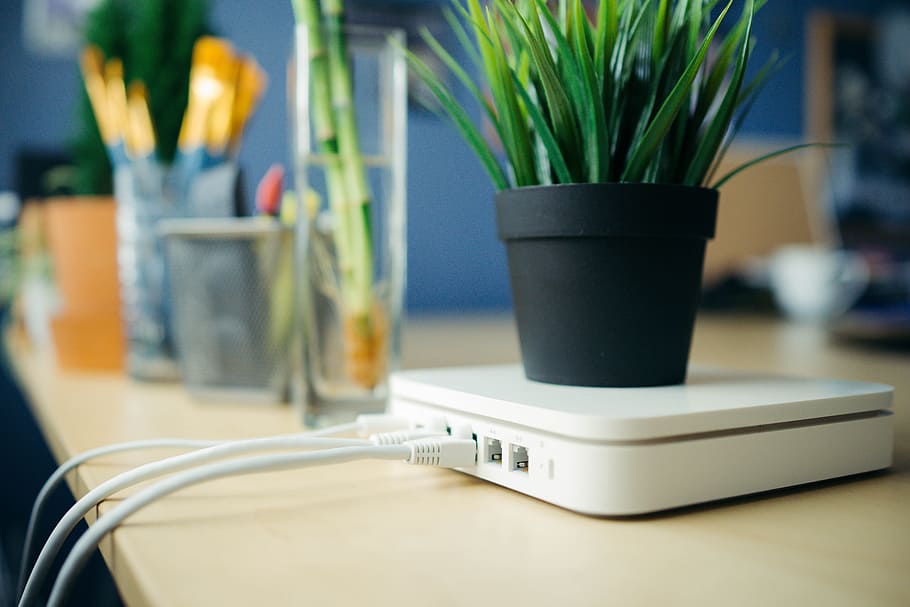wireless, apple router, white, leads, attached, office desk plant, placed, top, router., office suppliers