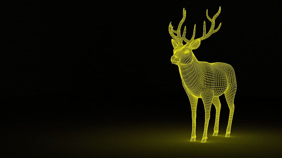 deer, 3d, wireframe, graphic, graphical, drawing, represent, reindeer, animal, animal themes