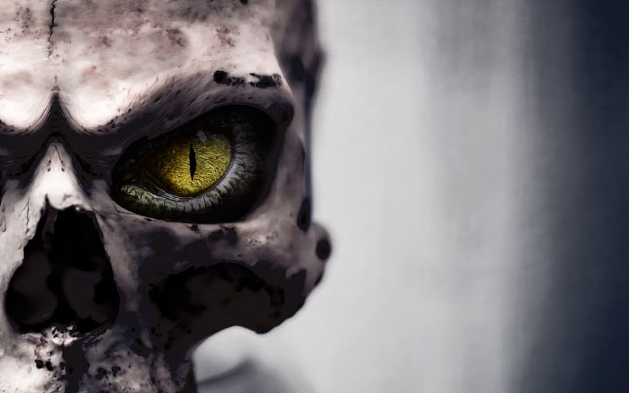 cráneo, cráneo y huesos cruzados, ojo, esqueleto, muerte, hueso, cara, máscara, fondo de pantalla genial, primer plano