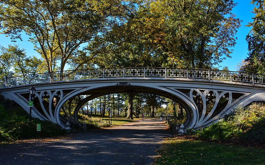 bridge, path, trees, scenic, park, pedestrians, promenade, central park, new york, usa