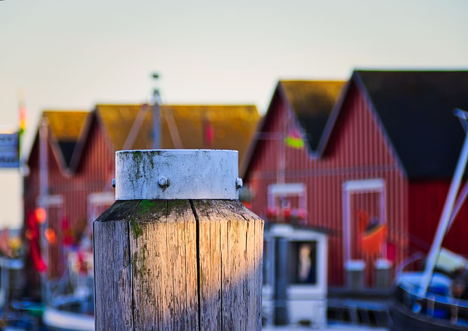 boltenhagen, port, water, hut, wood pile, wood - material, focus on foreground, built structure, architecture, building exterior