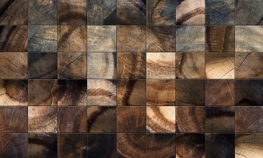pohon, permukaan, bahan, kayu ek, kayu, papan, pola, persegi, latar belakang, coklat