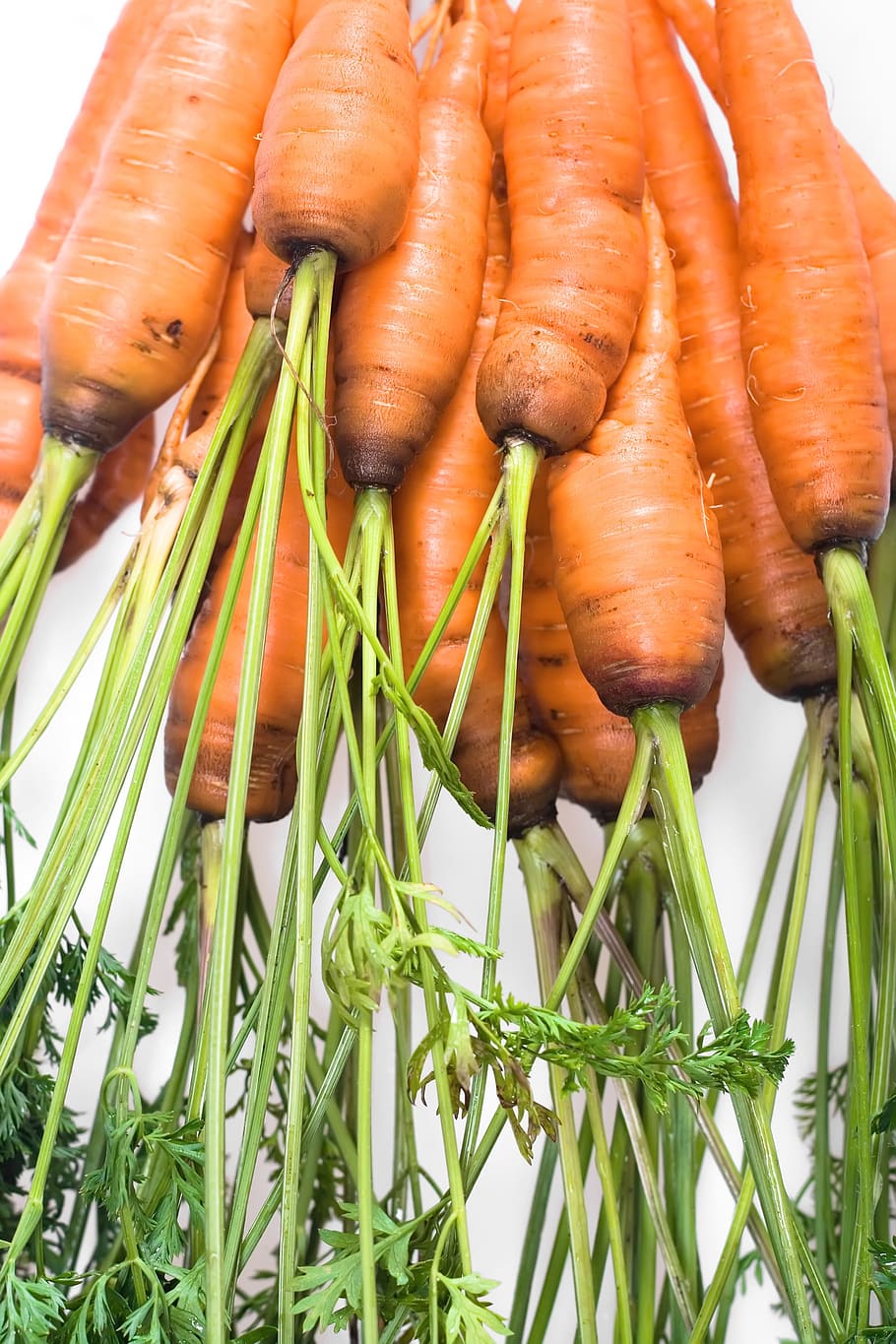 carrot, closeup, diet, food, fresh, green, health, healthy, heap, hold
