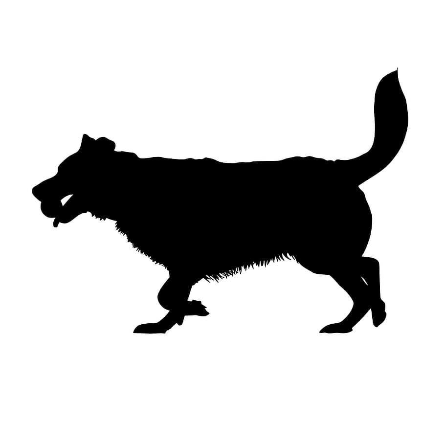ilustrasi, siluet anjing, bola., siluet, anjing, bola, tangkapan, lari, bermain, mamalia