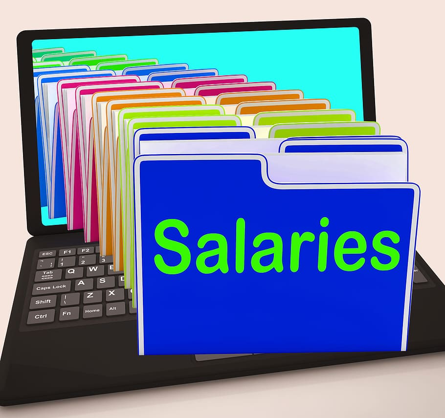 pastas de salários laptop, mostrando, pagando, funcionários, remuneração, ganhos, pastas, renda, laptop, dinheiro