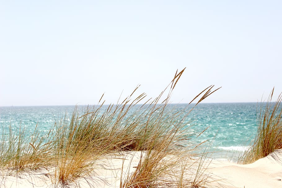 naturaleza, playa, mar, arena, océano, verano, paisaje, vacaciones, costa, relajación