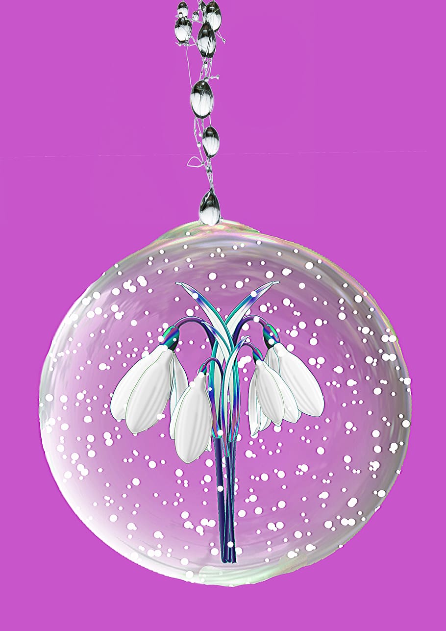 glass ball, ball, glass, globe picture snow globe, round, transparent, snowdrop, flower, plant, decoration