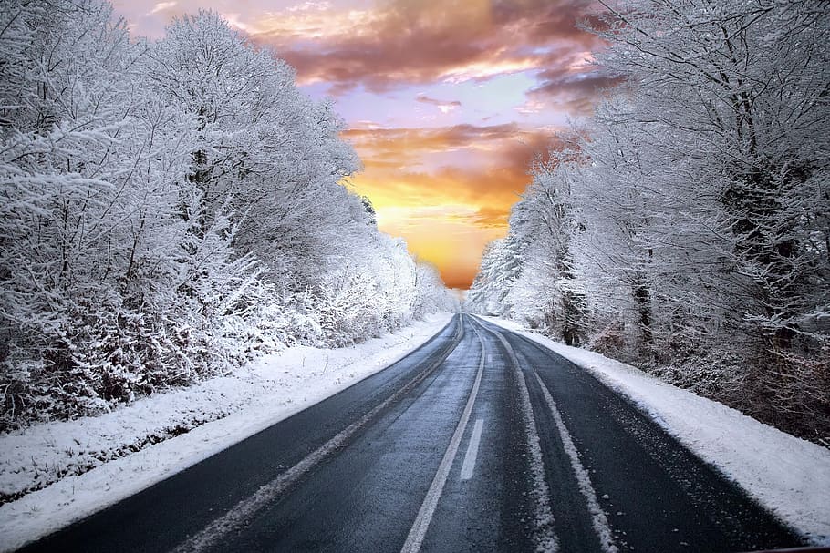 winter, road, highway, forest, cold, snow, trees, landscape, scenic, scene