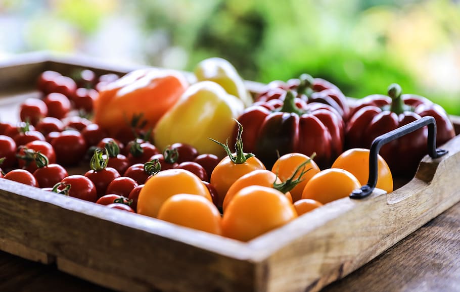 vegetables, pepper, tomatoes, garden, food, healthy, kitchen, cook, bio,  red | Pxfuel