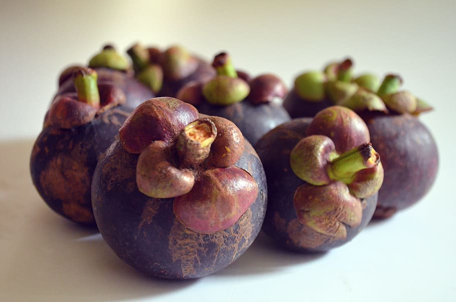 purple mangosteen, food, fruits, healthy eating, food and drink, fruit, freshness, wellbeing, studio shot, close-up