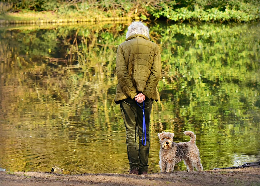 mulher, idosos, em pé, lagoa, cachorro, de volta, contemplando, olhando para a água, animal de estimação, reflexão