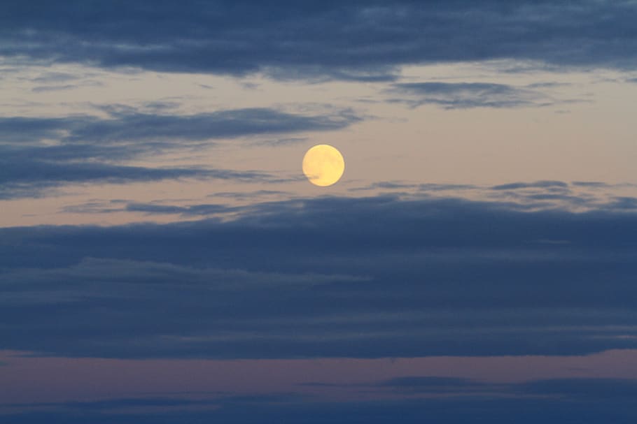 full moon, vancouver island, harvest moon, sky, cloud - sky, scenics - nature, beauty in nature, tranquil scene, tranquility, sunset