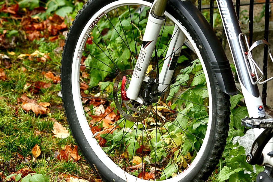 rueda, bicicleta, al aire libre, transporte, vehículo terrestre, modo de transporte, día, planta, naturaleza, color verde