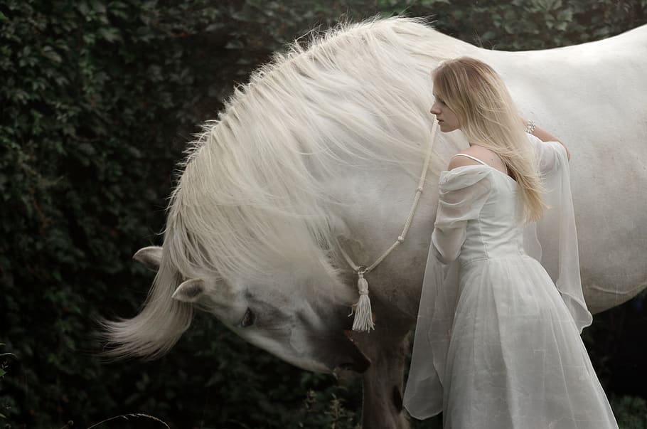 mulher, cavalo, cavalo branco, condado, amazona, fêmea, amor, natureza, sonho, romântico