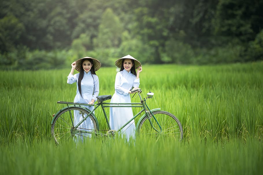 bicycle, woman, green, hats, countryside, ancient, asia, culture, danang, 7 days week