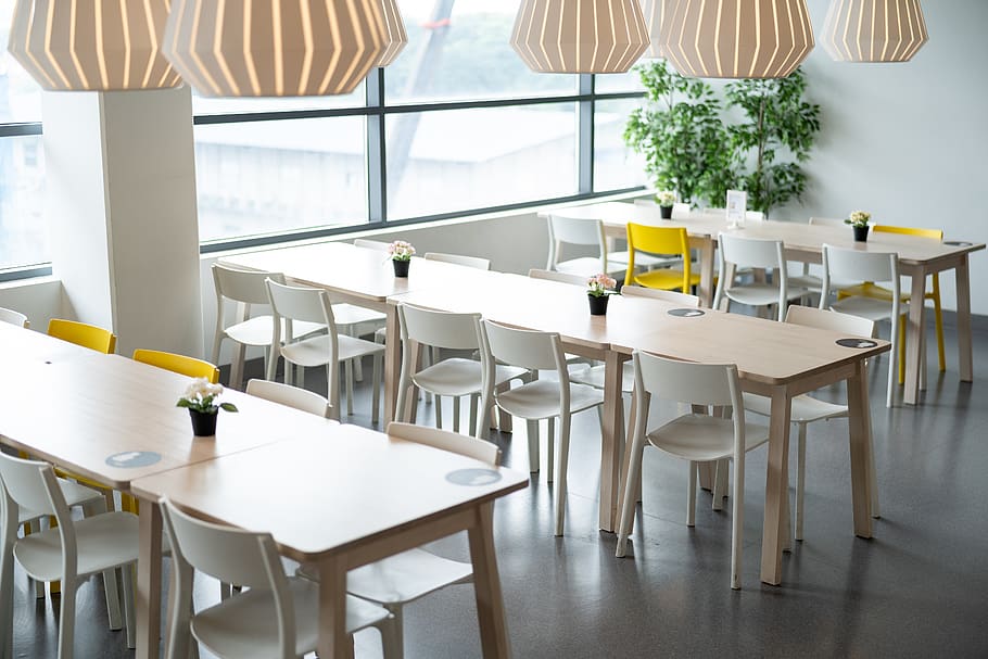 ikea, table, dining, chair, lamp, plant, natural, lifestyle, life, live