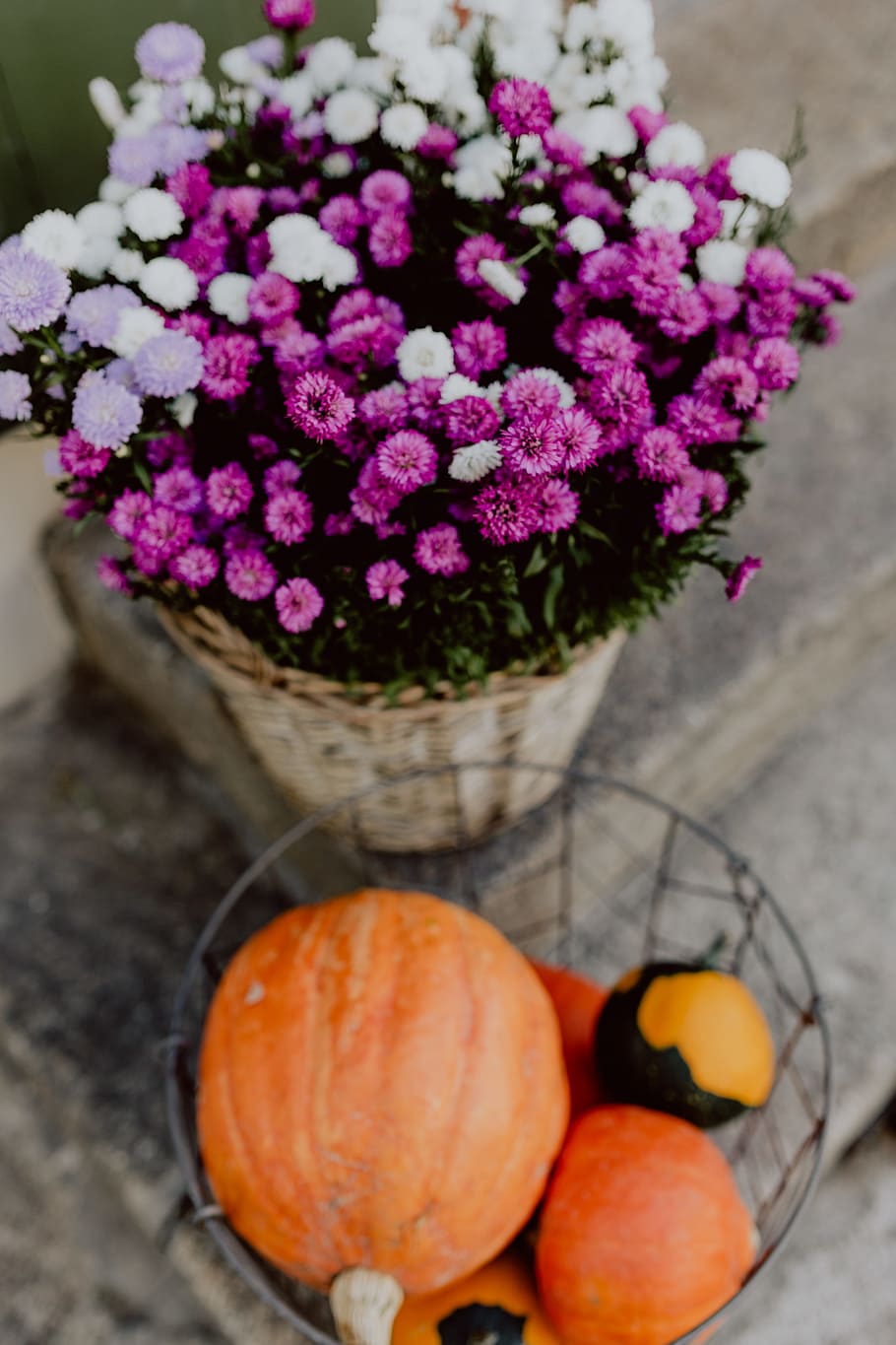 pumpkins, flowers, decoration, stairs, pumpkin, autumn, halloween, basket, fall, freshness