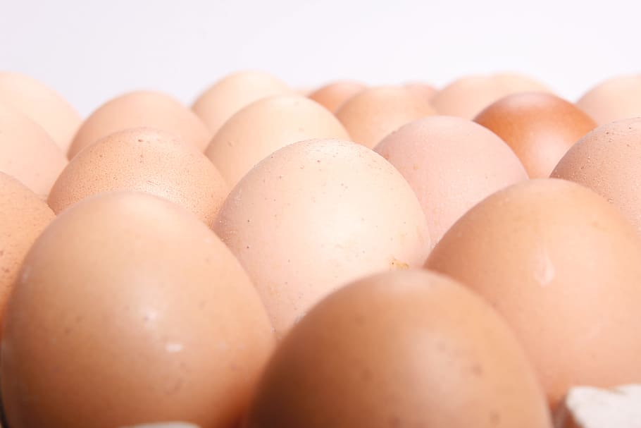 chicken, chicks, cholesterol, close-up, concepts, dairy, easter, eat, egg, eggshell