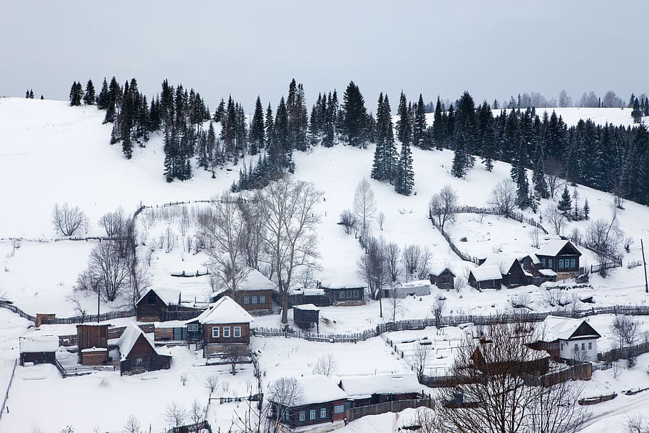 invierno`` nieve, invierno, árbol, frío, nevado, blanco, paisaje, exterior, pueblo, al aire libre