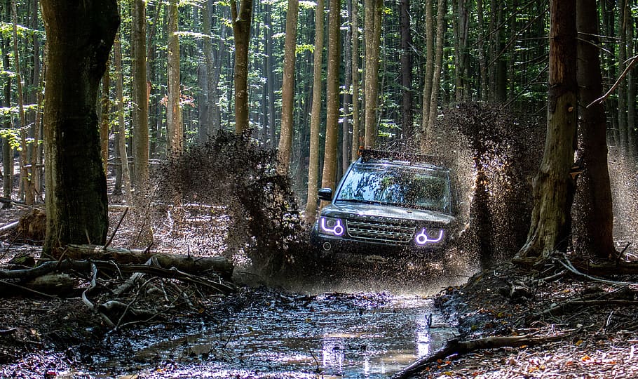 offroad, carpathian mountains, landrover, discovery, jeep, mud, all terrain vehicle, automotive, mature, auto