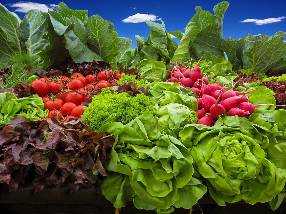 veg, vegetable, fresh, food, radish, tomato, stall, shop, healthy eating, food and drink