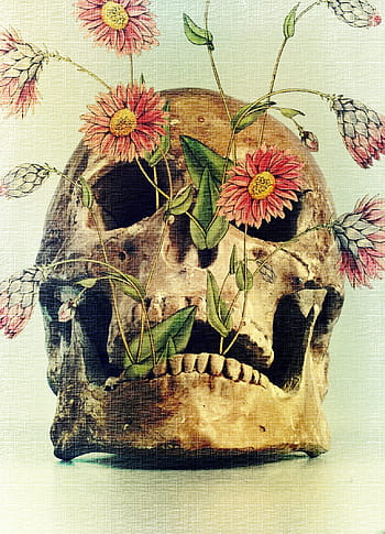 death-skull-flowers-transience-royalty-free-thumbnail.jpg