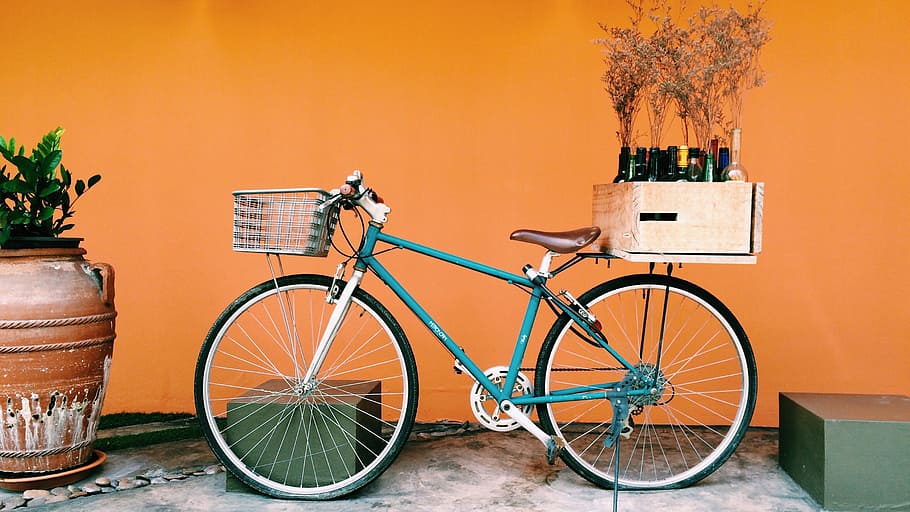 bicicleta, estética, planta, vaso de flores, pote, vaso, bebidas, projeto, transporte, cor laranja