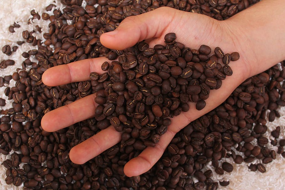 kopi, minuman, kafein, kafe, segar, cappuccino, aroma, kopi panggang, biji kopi, biji-bijian panggang