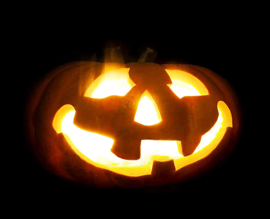 halloween, hitam, perayaan, labu, gelap, horor, terisolasi, pasar, alam, oktober