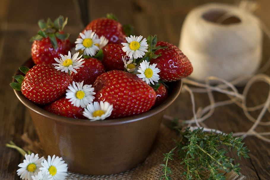 strawberries, daisies, bellis perennis, summer, color, red, spring, joy, garden, flower bed