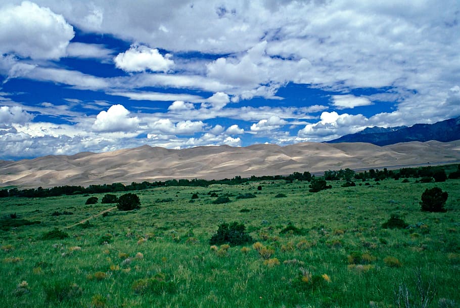 colorado, great, sand dunes, national, park clouds drift, creating, shadows., foreground, field, green