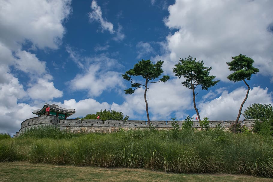 unesco, suwon hwaseong, castle, korean, korea, sky, suwon, republic of korea, cloud - sky, plant